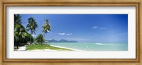 Palm trees on the beach, Penang State, Malaysia Fine Art Print