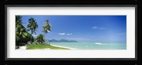 Palm trees on the beach, Penang State, Malaysia Fine Art Print