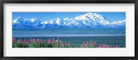Mountains & Lake Denali National Park AK USA Framed Print