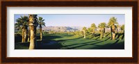 Marriot Desert Spring CA, USA Fine Art Print