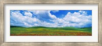 Open Field, Hill, Clouds, Blue Sky, Tuscany, Italy Fine Art Print