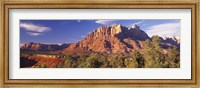 Canyon surrounded with forest, Escalante Canyon, Zion National Park, Washington County, Utah, USA Fine Art Print