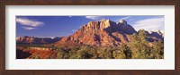 Canyon surrounded with forest, Escalante Canyon, Zion National Park, Washington County, Utah, USA Fine Art Print