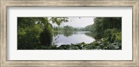 Forest and River, Sjolangs, Sweden Fine Art Print
