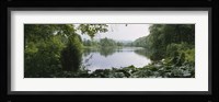 Forest and River, Sjolangs, Sweden Fine Art Print