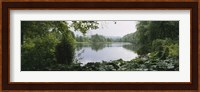 Forest and River, Sjolangs, Sweden Fine Art Print