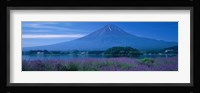 Mount Fuji Japan Fine Art Print