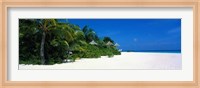 Beach in The Maldives Fine Art Print