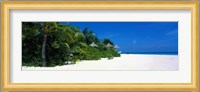 Beach in The Maldives Fine Art Print