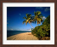 Palm trees and beach, Tahiti French Polynesia Fine Art Print