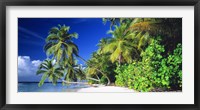 Palm Beach The Maldives Fine Art Print