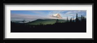 Silhouette of trees with a mountain in the background, Canadian Rockies, Alberta, Canada Fine Art Print