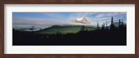 Silhouette of trees with a mountain in the background, Canadian Rockies, Alberta, Canada Fine Art Print