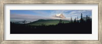 Silhouette of trees with a mountain in the background, Canadian Rockies, Alberta, Canada Fine Art Print
