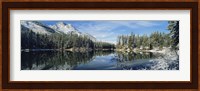 Reflection of trees in a lake, Yellowstone National Park, Wyoming, USA Fine Art Print