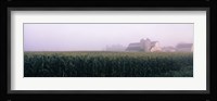 Barn in a field, Illinois, USA Fine Art Print