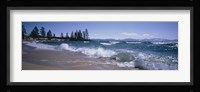 Trees along a lake, Lake Tahoe, Nevada, USA Fine Art Print