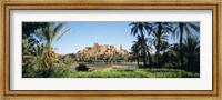 Palm trees with a fortress in the background, Tiffoultoute, Ouarzazate, Marrakesh, Morocco Fine Art Print