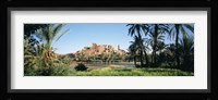 Palm trees with a fortress in the background, Tiffoultoute, Ouarzazate, Marrakesh, Morocco Fine Art Print
