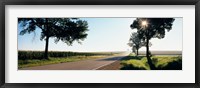 Road passing through fields, Illinois Route 64, Illinois, USA Fine Art Print