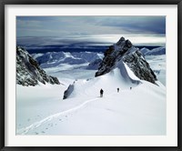 Upper Fox Glacier Westland NP New Zealand Fine Art Print