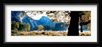 Half Dome, Yosemite National Park, California, USA Fine Art Print