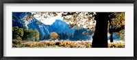 Half Dome, Yosemite National Park, California, USA Fine Art Print