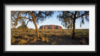 Ayers Rock Australia Fine Art Print