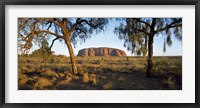Ayers Rock Australia Fine Art Print