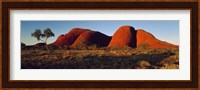 The Olgas N Territory Australia Fine Art Print