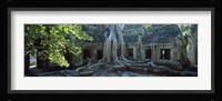 Wat Temple Complex of Ta-Prohm Cambodia Fine Art Print
