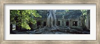 Wat Temple Complex of Ta-Prohm Cambodia Fine Art Print