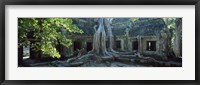 Wat Temple Complex of Ta-Prohm Cambodia Fine Art Print