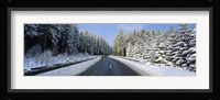 Road, Hochwald, Germany Fine Art Print