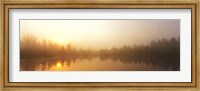 Misty Morning, Volvo Bog, Illinois, USA Fine Art Print