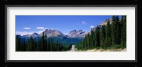 Road In Canadian Rockies, Alberta, Canada Fine Art Print