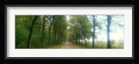 Road With Fog, France Fine Art Print