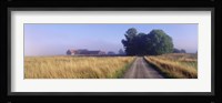 Road Sweden Fine Art Print