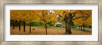 Autumn, Muskoka, Canada Fine Art Print