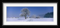 Winter Scenic, Austria Fine Art Print