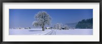 Winter Scenic, Austria Fine Art Print