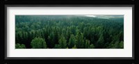 Finland, Aulanko, Scandinavian Forest Fine Art Print
