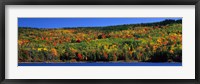 Autumn Eagle Lake, Acadia National Park, Maine, USA Fine Art Print