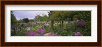 Flowers In A Garden, Foundation Claude Monet, Giverny, France Fine Art Print