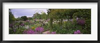 Flowers In A Garden, Foundation Claude Monet, Giverny, France Fine Art Print