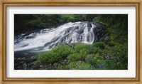 Waterfall in the forest, Mt Rainier National Park, Washington State, USA Fine Art Print