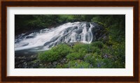 Waterfall in the forest, Mt Rainier National Park, Washington State, USA Fine Art Print