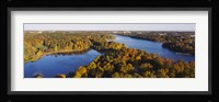 High angle view of a forest, Wenner-Gren Center, Brunnsviken, Stockholm, Sweden Fine Art Print