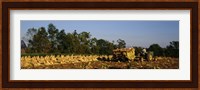 Two people harvesting tobacco, Winchester, Kentucky, USA Fine Art Print