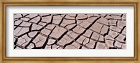 Close-up of cracked mud, South Dakota, USA Fine Art Print